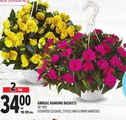 Metro ANNUAL HANGING BASKETS offer