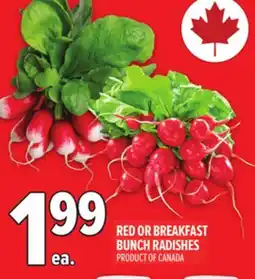 Metro RED OR BREAKFAST BUNCH RADISHES offer