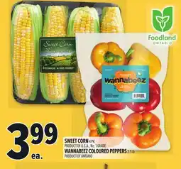 Metro SWEET CORN offer