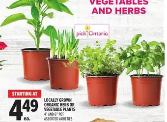 Metro LOCALLY GROWN ORGANIC HERB OR VEGETABLE PLANTS offer