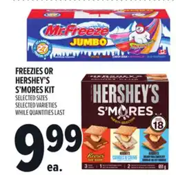 Metro FREEZIES OR HERSHEY'S S'MORES KIT offer