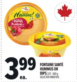 Metro FONTAINE SANTÉ HUMMUS OR DIPS offer