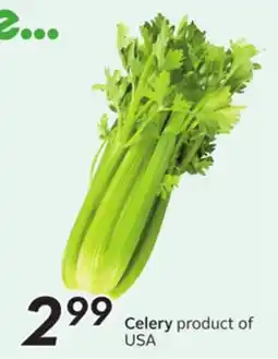 Sobeys Celery offer