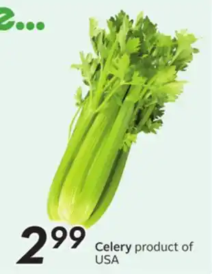 Sobeys Celery offer