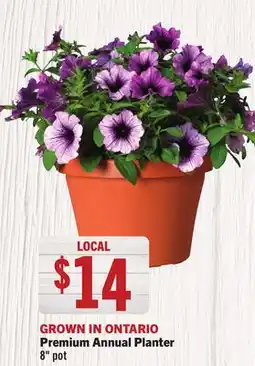 Foodland Premium Annual Planter offer