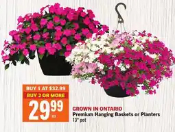 Foodland Premium Hanging Baskets or Planters offer
