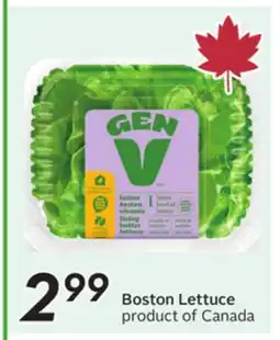 Sobeys GEN V Boston Lettuce offer