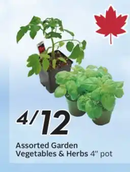 Sobeys Assorted Garden Vegetables & Herbs offer