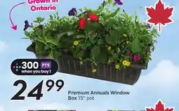 Sobeys Premium Annuals Window Box offer
