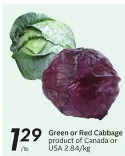 Sobeys Green or Red Cabbage offer
