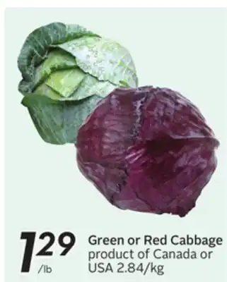 Sobeys Green or Red Cabbage offer
