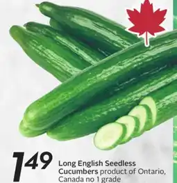 Sobeys Long English Seedless Cucumbers offer