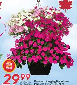Sobeys Premium Hanging Baskets or Planters offer
