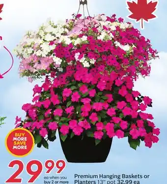 Sobeys Premium Hanging Baskets or Planters offer