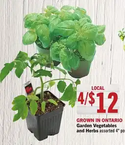 Foodland Garden Vegetables and Herbs offer