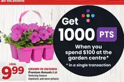 Foodland Premium Annuals offer