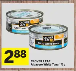 Foodland CLOVER LEAF Albacore White Tuna offer