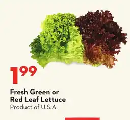 Longo's Fresh Green or Red Leaf Lettuce offer
