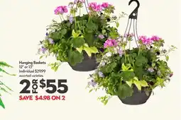 Longo's Hanging Baskets offer