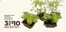 Longo's Vegetable or Herb in Fibre Pot offer