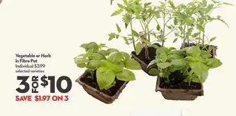 Longo's Vegetable or Herb in Fibre Pot offer
