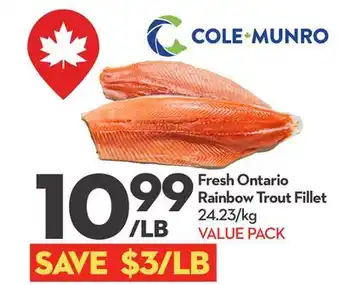 Longo's Fresh Ontario Rainbow Trout Fillet offer