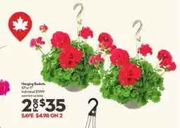 Longo's Hanging Baskets offer