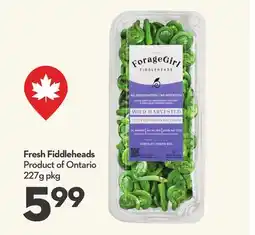 Longo's Fresh Fiddleheads offer