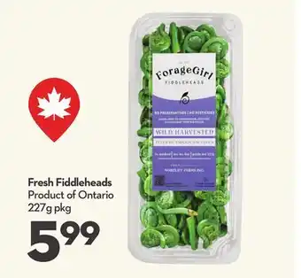 Longo's Fresh Fiddleheads offer