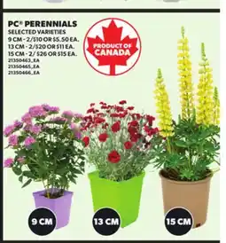 Loblaws PC PERENNIALS offer