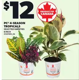 Loblaws PC 4-SEASON TROPICALS, 6INCH offer
