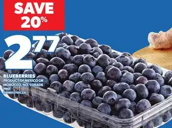 Loblaws BLUEBERRIES, PINT offer
