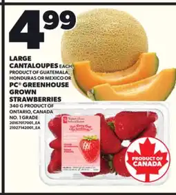 Loblaws LARGE CANTALOUPES OR PC GREENHOUSE GROWN STRAWBERRIES, 340G offer
