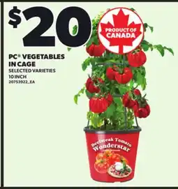 Loblaws PC VEGETABLES IN CAGE, 10 INCH offer