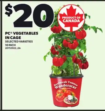 Loblaws PC VEGETABLES IN CAGE, 10 INCH offer