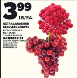 Loblaws EXTRA LARGE RED SEEDLESS GRAPES, 3.99 LB OR RASPBERRIES HALF PINT offer