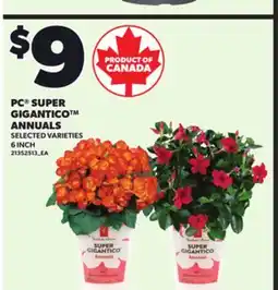 Loblaws PC SUPER GIGANTICO ANNUALS, 6 INCH offer