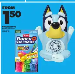 Loblaws SUMMER TOYS offer