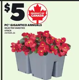 Loblaws PC GIGANTICO ANNUALS, 4 PACK offer