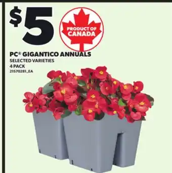 Loblaws PC GIGANTICO ANNUALS, 4 PACK offer