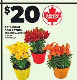 Loblaws PC LILIUM COLLECTION, 8 INCH offer