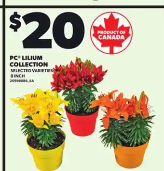 Loblaws PC LILIUM COLLECTION, 8 INCH offer