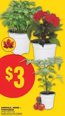 No Frills ANNUALS, HERBS OR VEGETABLES, 4 INCH offer