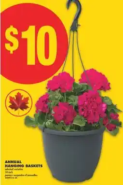 No Frills ANNUAL HANGING BASKETS, 10 INCH offer