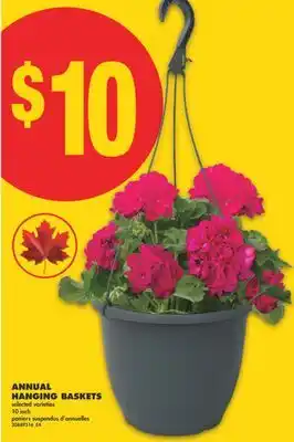 No Frills ANNUAL HANGING BASKETS, 10 INCH offer