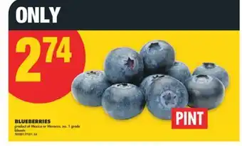 No Frills BLUEBERRIES, PINT offer
