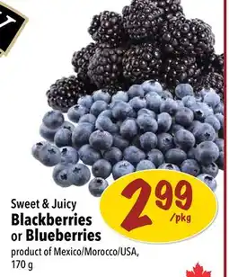 Farm Boy Sweet & Juicy Blackberries or Blueberries offer