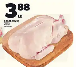 Loblaws GRADE A DUCK offer