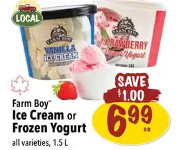 Farm Boy Farm Boy Ice Cream or Frozen Yogurt offer