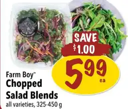Farm Boy Farm Boy Chopped Salad Blends offer